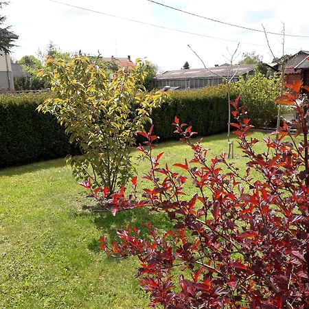 Chambres D'Hotes Le Chalet Moussey  Bagian luar foto